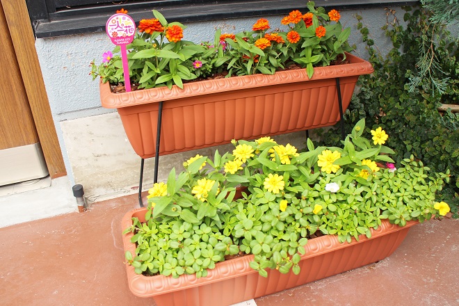 オレンジと黄色の花が咲いているプランターの写真