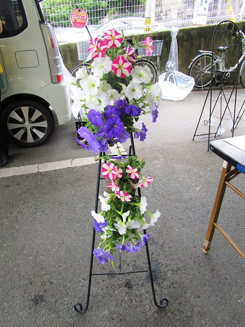 完成したペットボトルハンギングの写真