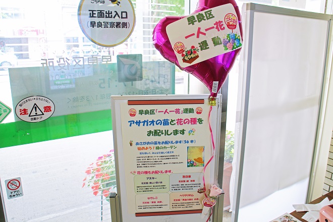 アサガオの苗と花の種を配布していることを案内する看板の写真