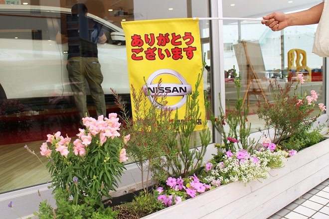 ピンクと紫の花が咲いているプランターの奥に店舗と黄色い日産の旗が見える写真