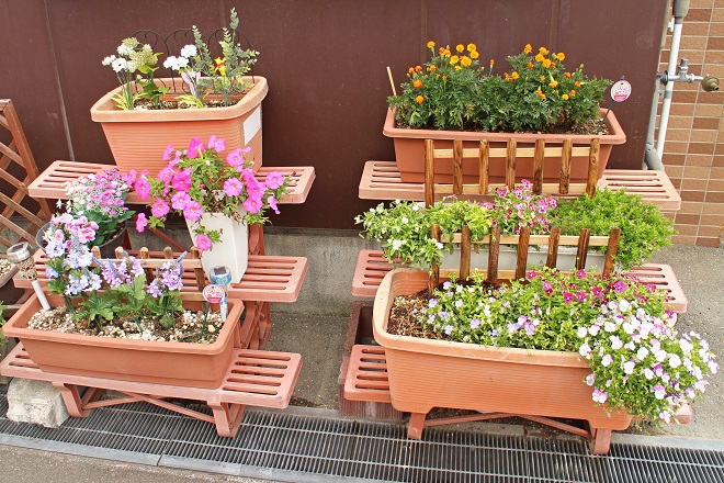 階段状に設置されたプランターにオレンジや紫の花が咲いている写真