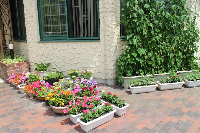 しかた保育園入り口にあるカラフルな花たちのプランターの写真
