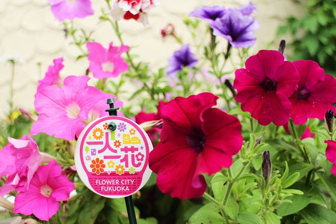 赤，ピンク，紫の花と一人一花のロゴが写っている写真