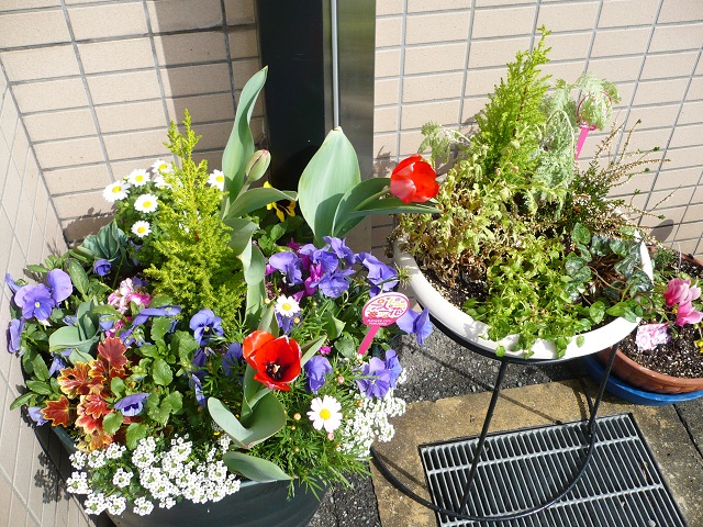 さまざまな花が咲くプランター