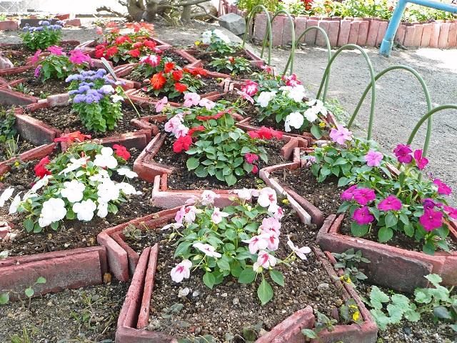 不規則にデザインされた花壇に青，白，紫などの花が咲いている写真