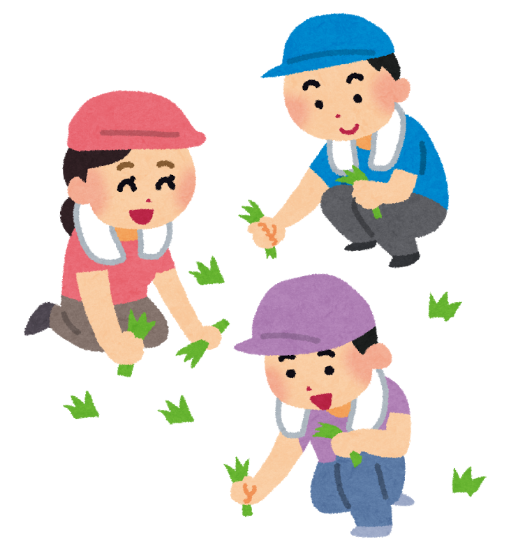 草取りをしている画像