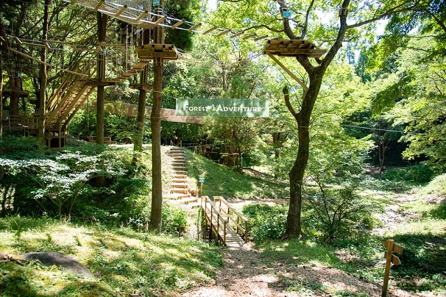 緑の木々の中にあるアウトドアパーク「フォレストアドベンチャー」の入口付近