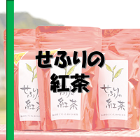 せふりの紅茶