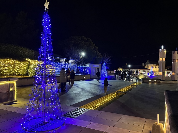 福岡市海浜公園のイルミネーション