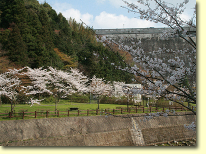 画像：曲渕ダムパーク（１）