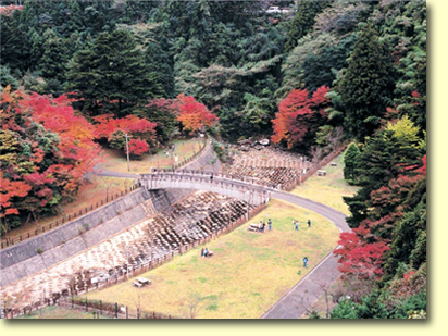 画像：曲渕ダムパーク（３）