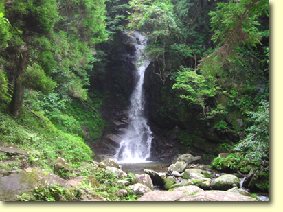 画像：花乱の滝（４）