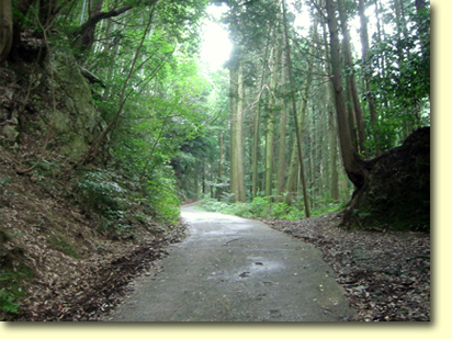 画像：花乱の滝（１）