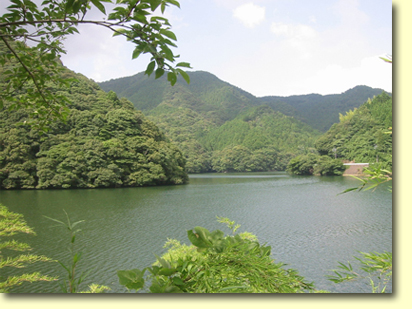 画像：曲渕ダム貯水池（１）