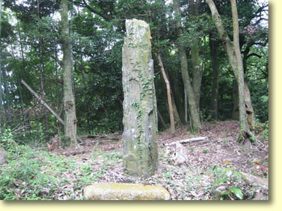 画像：曲淵城跡（３）