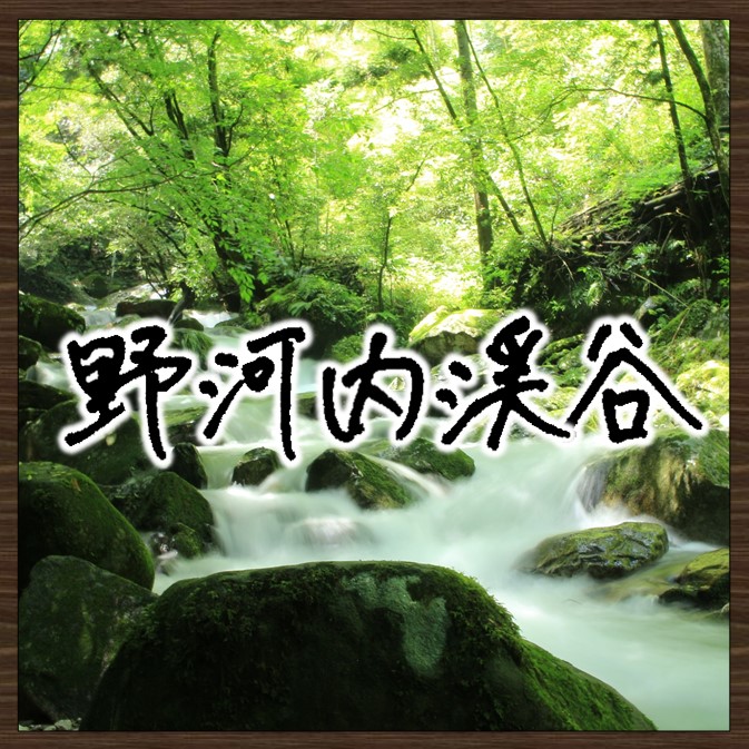 画像：野河内渓谷探検隊　画像をクリックするとページが表示されます。