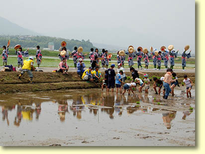 画像：お田植舞（１）