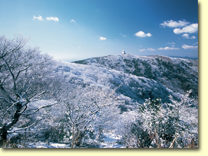 画像：脊振山頂（２）