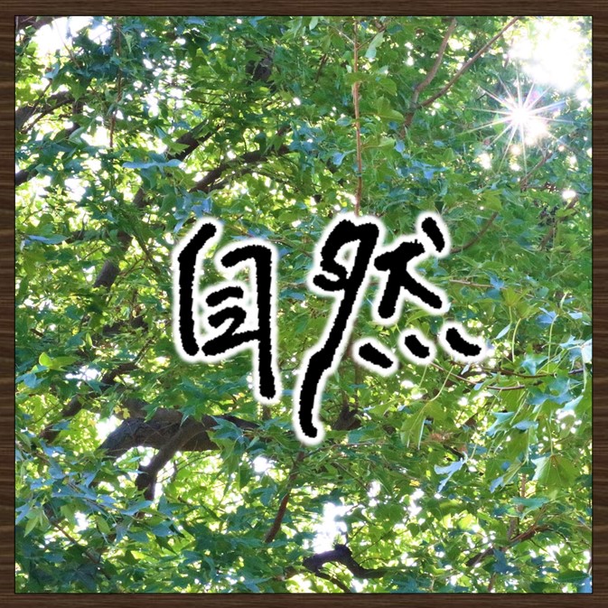 画像：自然　クリックするとページが表示されます。