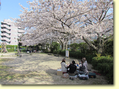 画像：室見川河畔公園（野生の広場）（１）