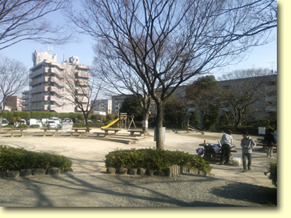 画像：室見川河畔公園（野生の広場）（２）