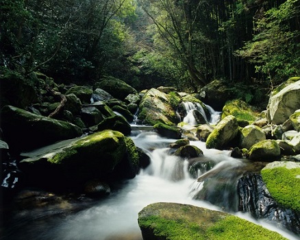 野河内渓谷の写真