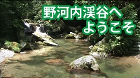 野河内渓谷へようこそ