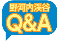 野河内渓谷QA