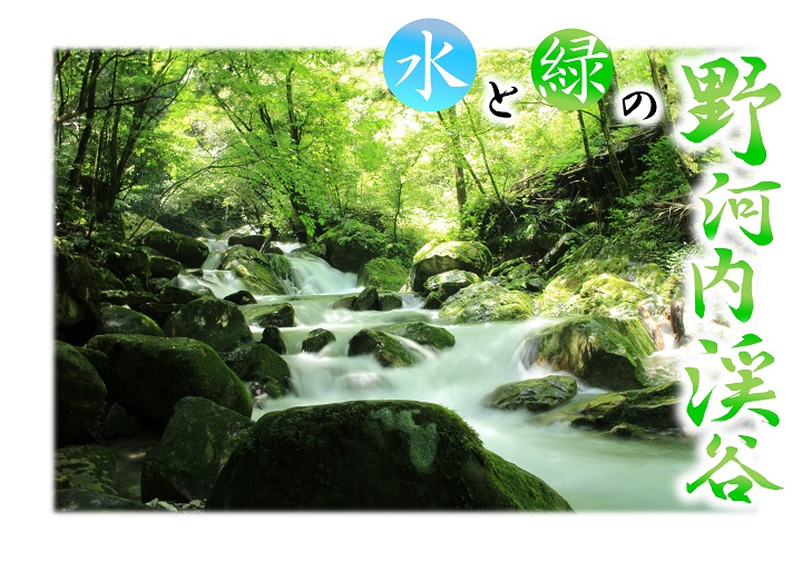 水と緑の野河内渓谷