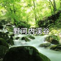 野河内渓谷