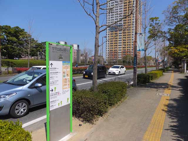 博物館前交差点南側の写真