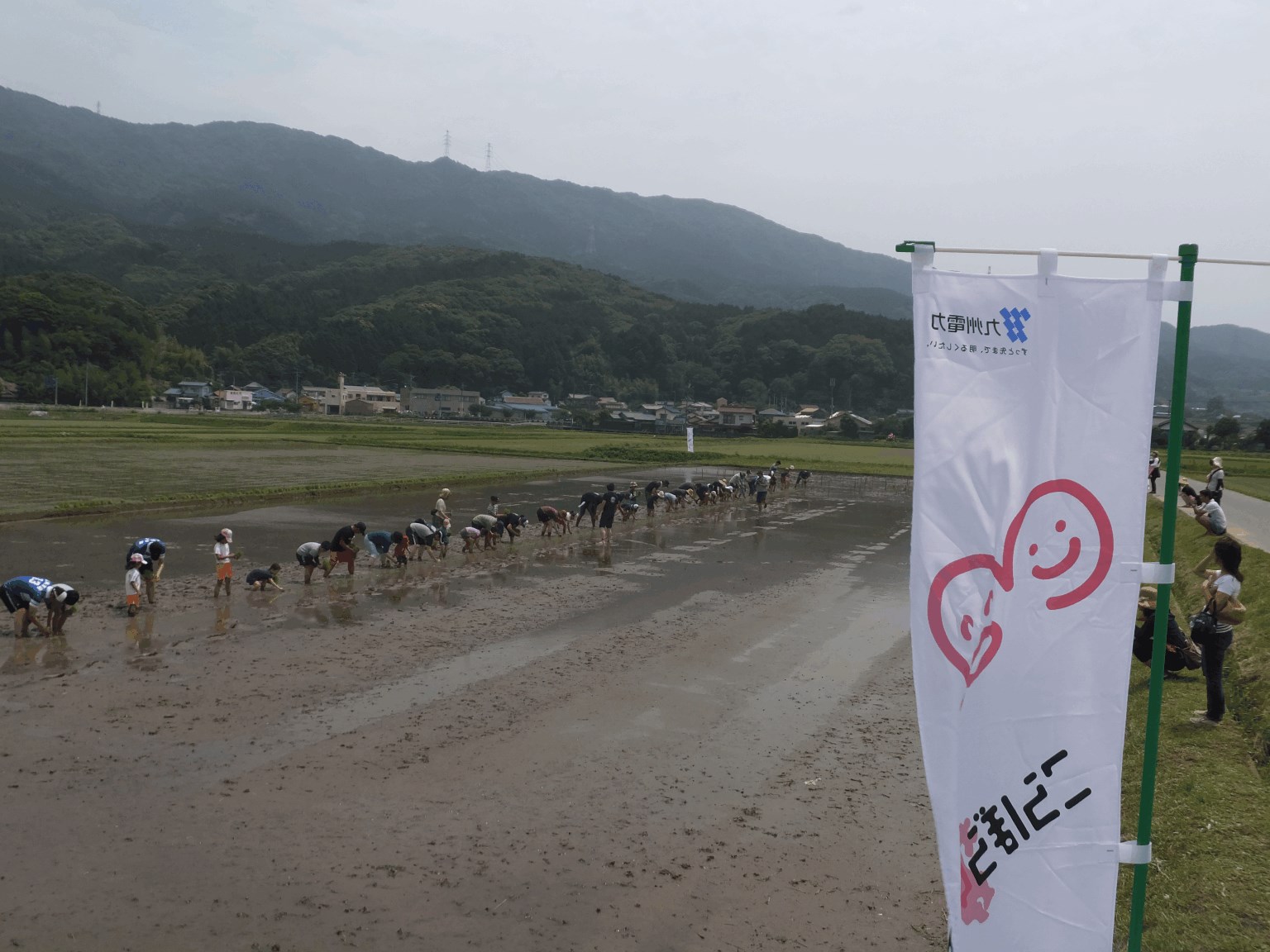 田植え遠景の画像