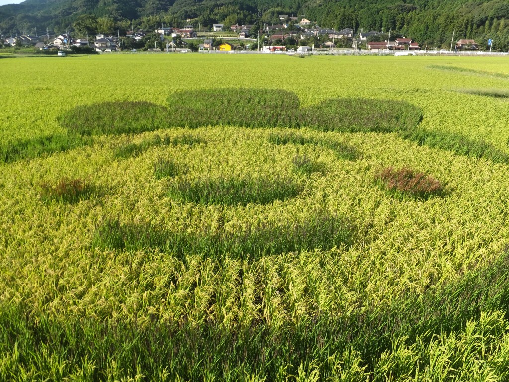 九月十三日の画像