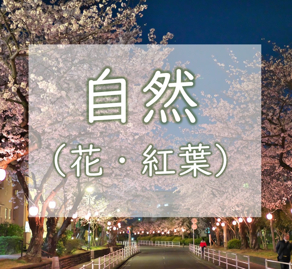 自然　花・紅葉