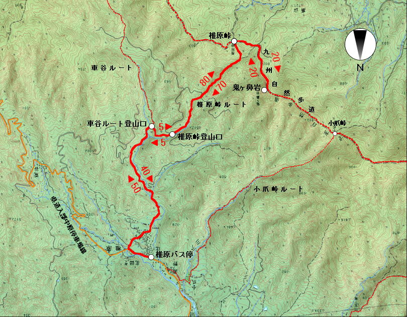 画像：Cルート（２）