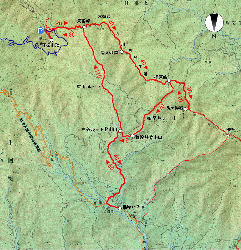 画像：Dルート（２）