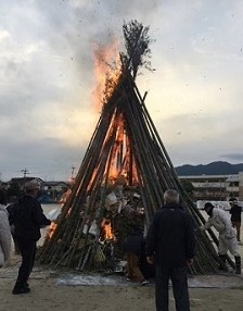 ほうげんぎょうの写真