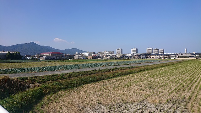 田畑から見る四箇田校区写真