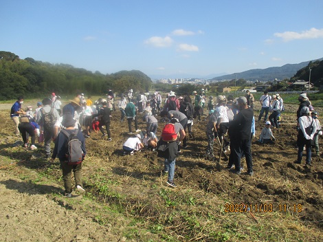 いもほりハイキングの写真