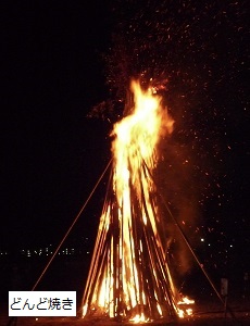 どんど焼きの写真