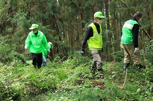 不法投棄パトロールの写真1枚目