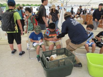 ふれあい動物園