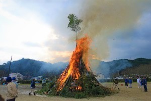 ほんげんぎょうの様子