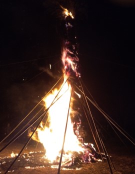 ほうけんぎょうの写真