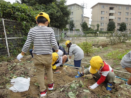 共同農園の写真1枚目