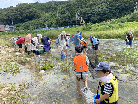 川の生物観察の写真