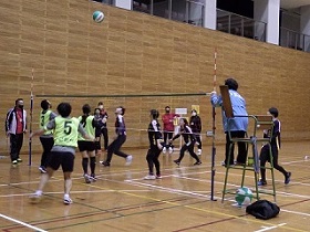 ビーチボールバレーの画像１