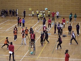 ビーチボールバレーの画像2