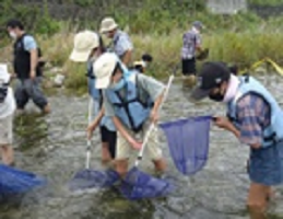 子どもたちが実際に川に入り魚などを獲って観察する写真②