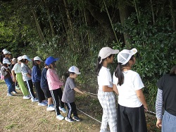 自然の中に紛れカモフラージュされた人工物を探す子どもたちの様子